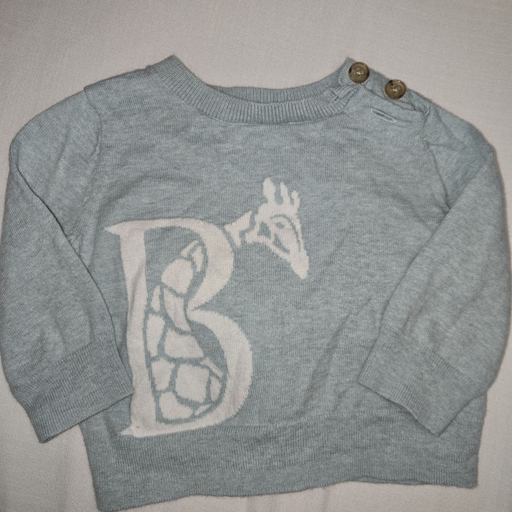 Banana Republic Kids Light Blue Sweater with Giraffe Motif